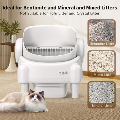 SafeSmart Open-Top Cat Litter System